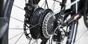 Electric Bike Motors