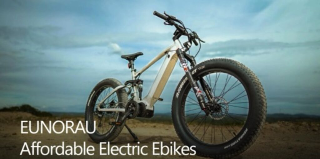 Fat Tire Electric Bikes
